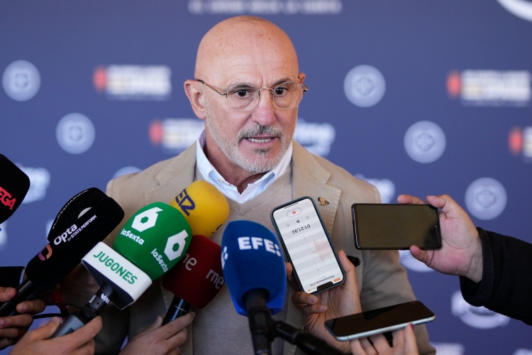 德拉富恩特赛后定调 奥亚萨瓦尔获评世界级 罗德里重返巅峰