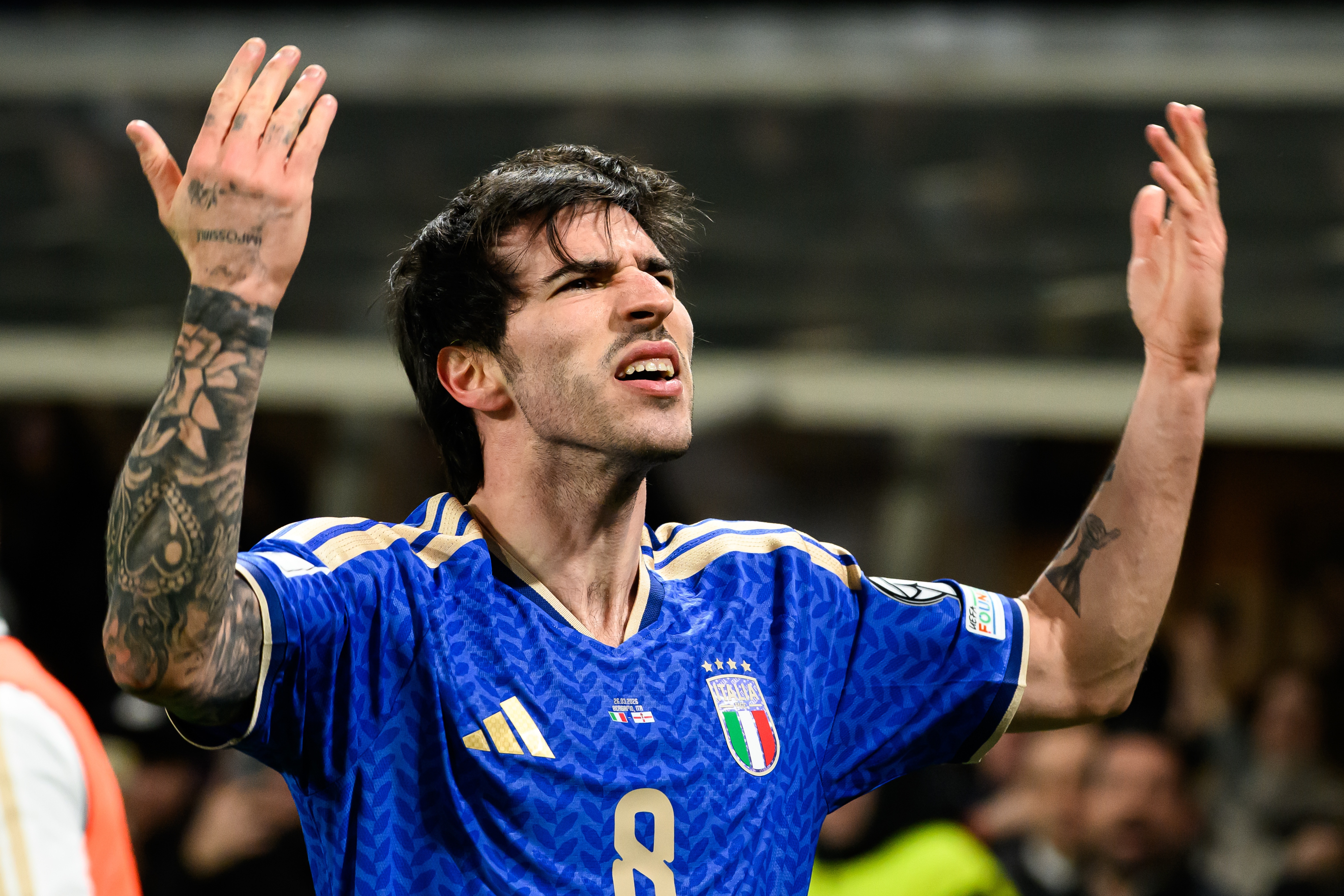 马金桥：无缘世界杯提升托纳利转会吸引力