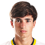 罗德里戈·桑托斯·里贝罗